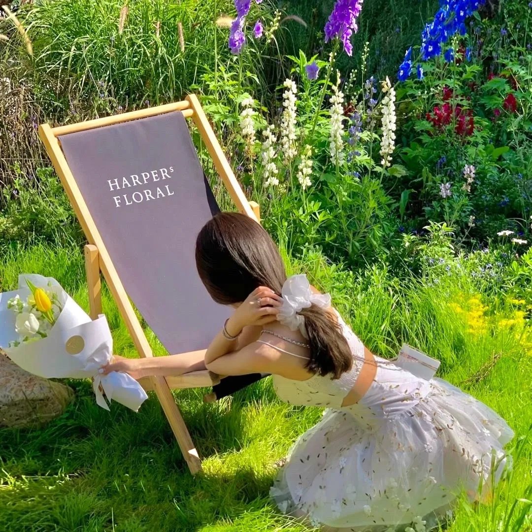 史酷比:神秘的开始